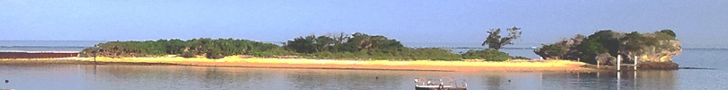 shima809bar.jpg