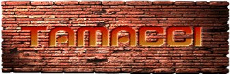 TAMACCI�̃T�C�g