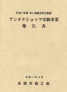 糸満市アンテナショップ実験事業報告書
