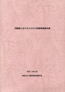 沖縄県におけるＳＯＨＯ実態調査報告書